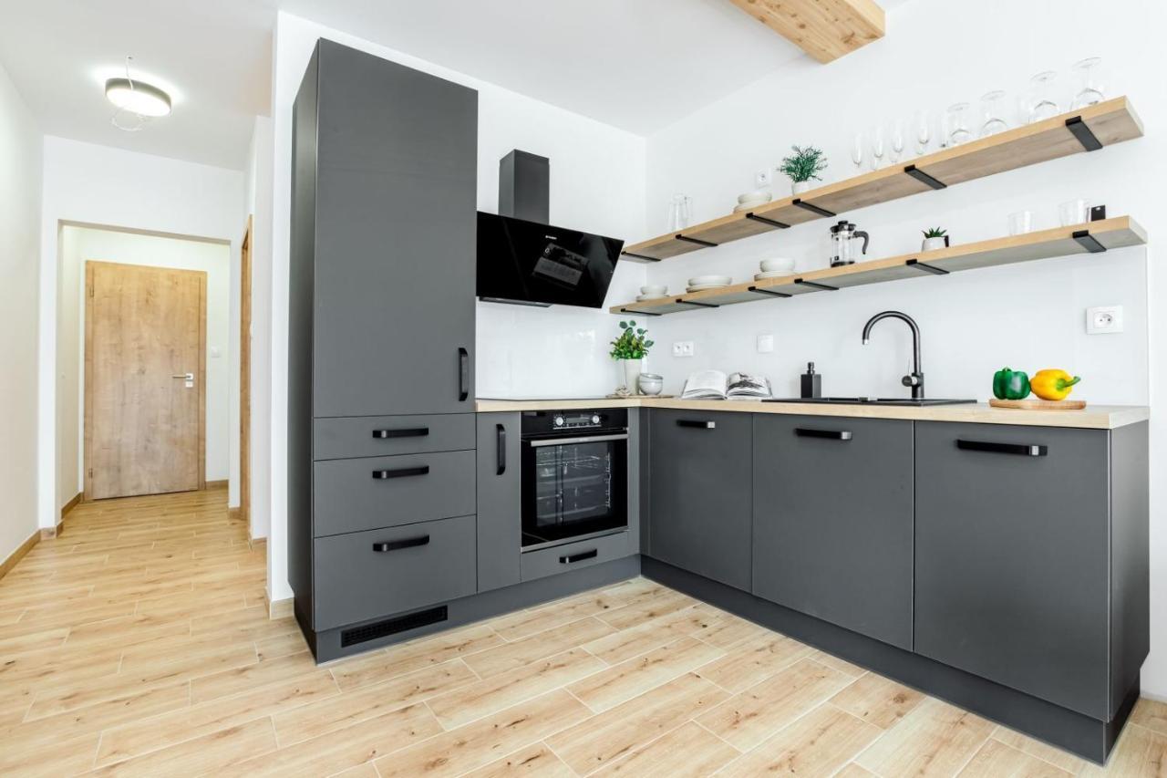 Apartmany Karlovy Dvory Horni Plana Luaran gambar